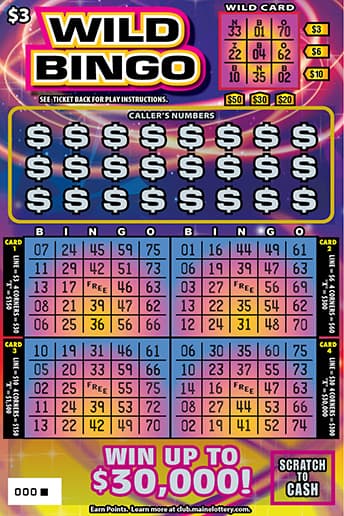 WILD BINGO Maine Lottery scratch-off ticket art