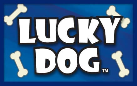 Lucky Dog