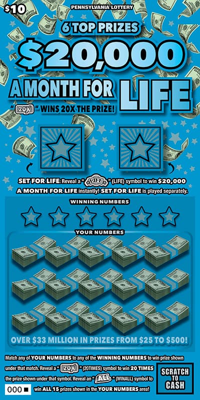 $20,000 a Month for Life
