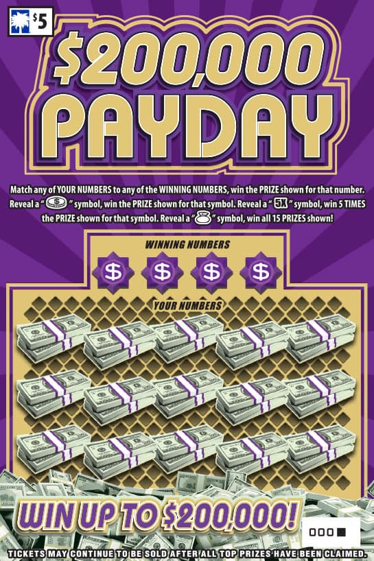 $200,000 Payday South Carolina Lottery scratch-off ticket art